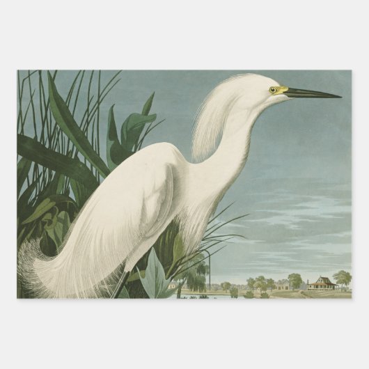 Audubon Snowy Heron White Egret Bird Vogelbeobacht Geschenkpapier Set (Vorderseite)