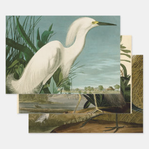 Audubon Snowy Heron White Egret Bird Vogelbeobacht Geschenkpapier Set