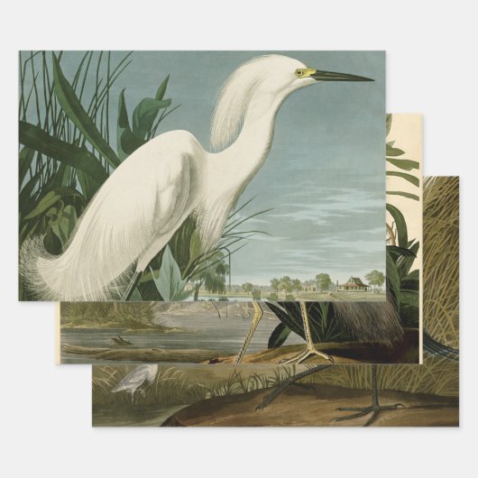 Audubon Snowy Heron White Egret Bird Vogelbeobacht Geschenkpapier Set (Set)