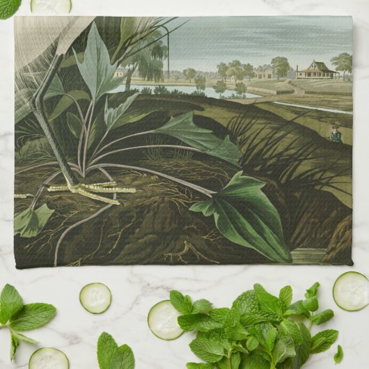 Audubon Snowy Heron White Egret Bird Vogelbeobacht Geschirrtuch (Gefaltet)