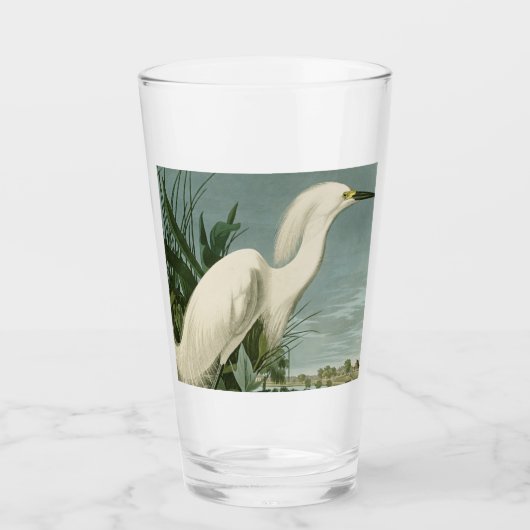 Audubon Snowy Heron White Egret Bird Vogelbeobacht Glas (Vorderseite)