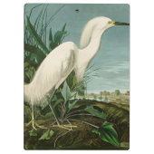 Audubon Snowy Heron White Egret Bird Vogelbeobacht Klemmbrett (Rückseite)