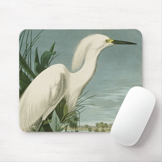 Audubon Snowy Heron White Egret Bird Vogelbeobacht Mousepad (Mit Mouse)