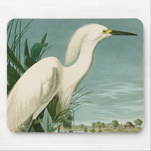 Audubon Snowy Heron White Egret Bird Vogelbeobacht Mousepad