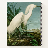 Audubon Snowy Heron White Egret Bird Vogelbeobacht Notizblock (Rückseite)