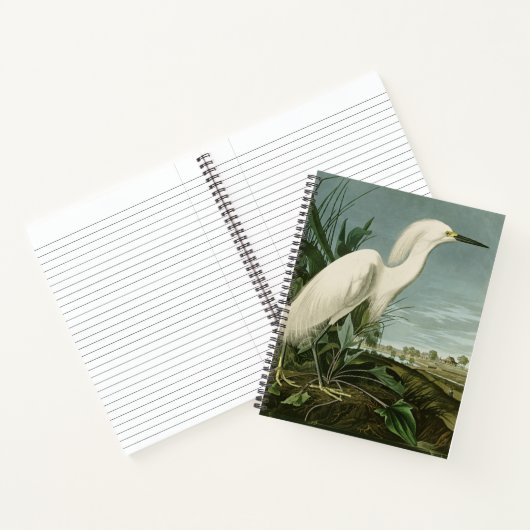 Audubon Snowy Heron White Egret Bird Vogelbeobacht Notizblock (Innenseite)