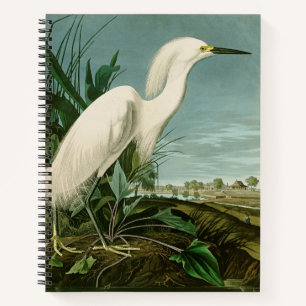 Audubon Snowy Heron White Egret Bird Vogelbeobacht Notizblock