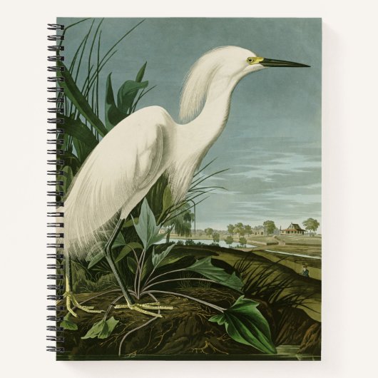 Audubon Snowy Heron White Egret Bird Vogelbeobacht Notizblock (Vorderseite)
