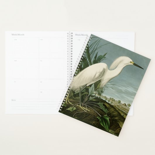 Audubon Snowy Heron White Egret Bird Vogelbeobacht Planer (Anzeige)