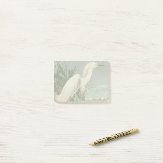 Audubon Snowy Heron White Egret Bird Vogelbeobacht Post-it Klebezettel (Auf Schreibtisch)