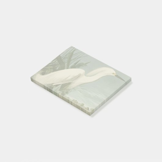Audubon Snowy Heron White Egret Bird Vogelbeobacht Post-it Klebezettel (angewinkelt)