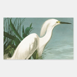 Audubon Snowy Heron White Egret Bird Vogelbeobacht Rechteckiger Aufkleber