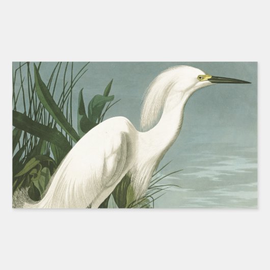 Audubon Snowy Heron White Egret Bird Vogelbeobacht Rechteckiger Aufkleber (Vorderseite)