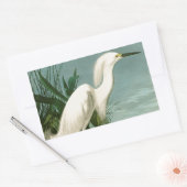 Audubon Snowy Heron White Egret Bird Vogelbeobacht Rechteckiger Aufkleber (Umschlag)
