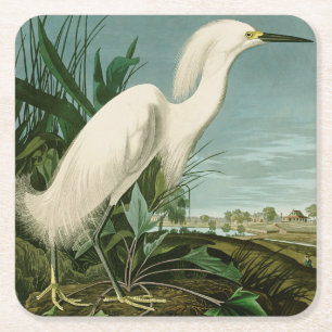 Audubon Snowy Heron White Egret Bird Vogelbeobacht Rechteckiger Pappuntersetzer