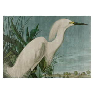 Audubon Snowy Heron White Egret Bird Vogelbeobacht Schneidebrett