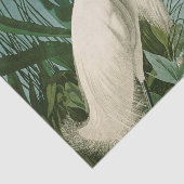 Audubon Snowy Heron White Egret Bird Vogelbeobacht Seidenpapier (Ausschnitt)