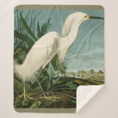 Audubon Snowy Heron White Egret Bird Vogelbeobacht Sherpadecke (Vorderseite)