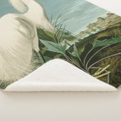 Audubon Snowy Heron White Egret Bird Vogelbeobacht Sherpadecke (3/4)