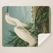 Audubon Snowy Heron White Egret Bird Vogelbeobacht Sherpadecke (Vorderseite (Horizontal))