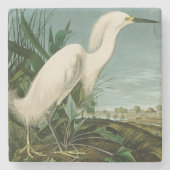 Audubon Snowy Heron White Egret Bird Vogelbeobacht Steinuntersetzer (Vorderseite)
