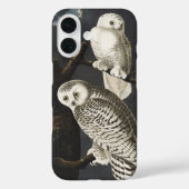 Audubon Snowy Owl Bird Artwork Case-Mate iPhone Hülle (Rückseite)