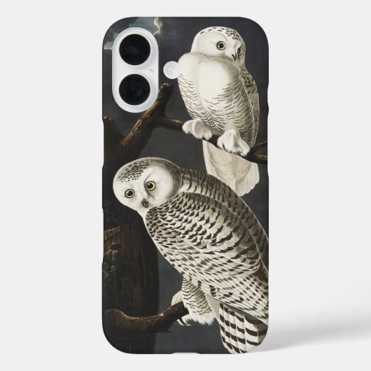 Audubon Snowy Owl Bird Artwork Case-Mate iPhone Hülle (Rückseite)