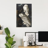 Audubon Snowy Owl Bird Artwork Poster (Heimbüro)