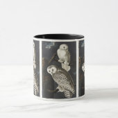 Audubon Snowy Owl Bird Artwork Tasse (Zentrum)