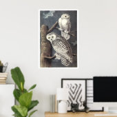Audubon Snowy Owls Poster oder Print (Heimbüro)