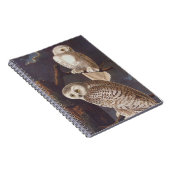 Audubon Snowy White Owls auf einer dunklen wolkige Notizblock (Rechte Seite)