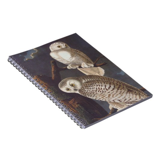 Audubon Snowy White Owls auf einer dunklen wolkige Notizblock (Rechte Seite)