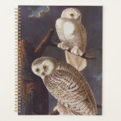 Audubon Snowy White Owls on a Dark Cloudy Night Planer (Vorderseite)