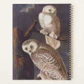 Audubon Snowy White Owls on a Dark Cloudy Night Planer (Rückseite)
