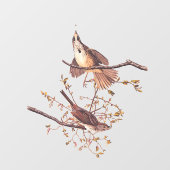 Audubon Song Sparrow mit Tiny Spider Fensteraufkleber (Blatt)