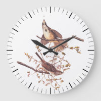 Audubon Song Sparrow mit Tiny Spider