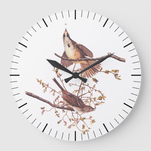 Audubon Song Sparrow mit Tiny Spider Große Wanduhr (Vorderseite)