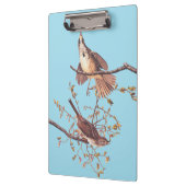 Audubon Song Sparrow mit Tiny Spider Klemmbrett (Links)