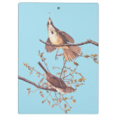 Audubon Song Sparrow mit Tiny Spider Klemmbrett (Rückseite)