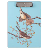 Audubon Song Sparrow mit Tiny Spider Klemmbrett (Vorderseite)