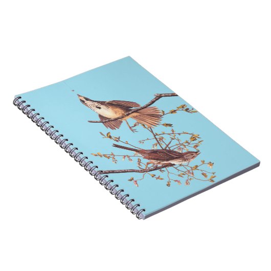 Audubon Song Sparrow mit Tiny Spider Notizblock (Rechte Seite)