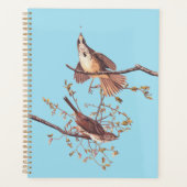 Audubon Song Sparrow mit Tiny Spider Planer (Vorderseite)