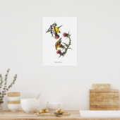 Audubon-Stieglitz-Vogelposter Poster (Küche)