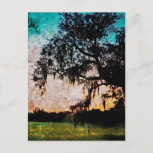 Audubon Sunset Textures Postkarte