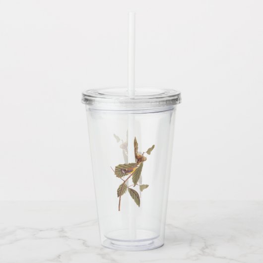 Audubon Swainson's Warbler Bird auf der Oak Branch Acryltrinkbecher (Vorderseite)