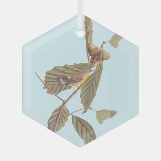 Audubon Swainson's Warbler Bird auf der Oak Branch Ornament Aus Glas (Vorderseite)