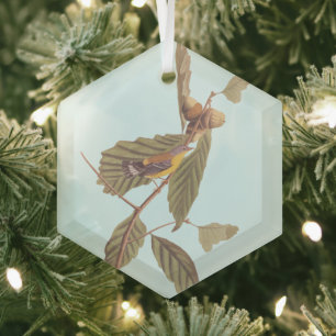 Audubon Swainson's Warbler Bird auf der Oak Branch Ornament Aus Glas
