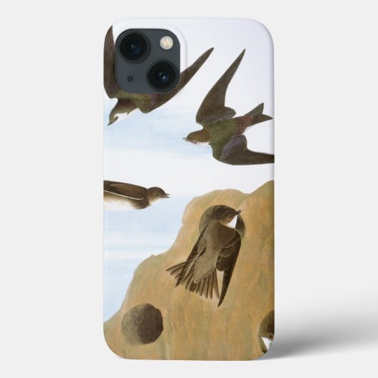 Audubon: Swallows Case-Mate iPhone Hülle (Rückseite)