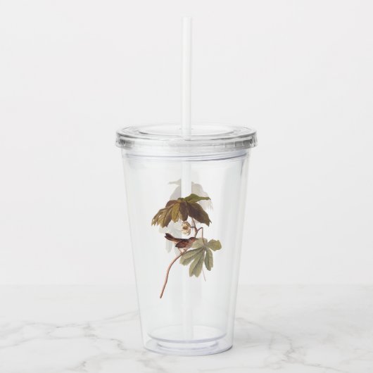 Audubon Swamp Sparrow Bird on Wild Mandrake Acryltrinkbecher (Vorderseite)