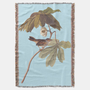 Audubon Swamp Sparrow Bird on Wild Mandrake Decke